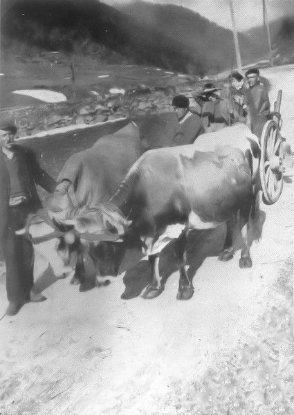 agriculture de montagne en Aude002