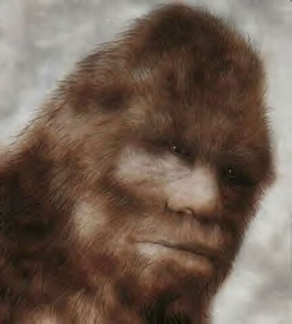 Bigfoot