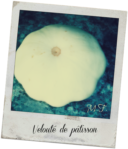 veloute-de-patisson.png