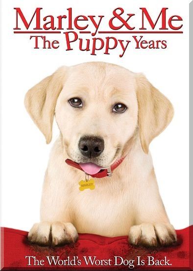 Marley---Me-The-Puppy-Years.jpg