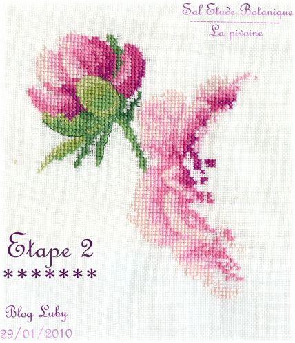 etape-2-montage.jpg