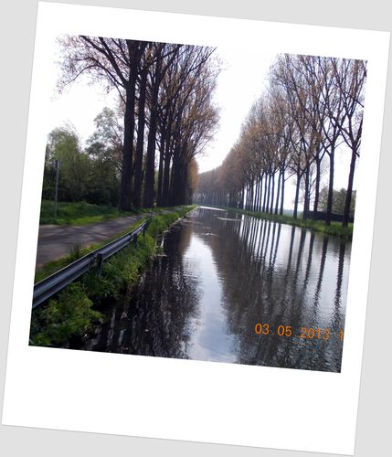 DSCN0214