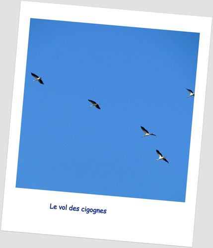 10-octobre3.JPG