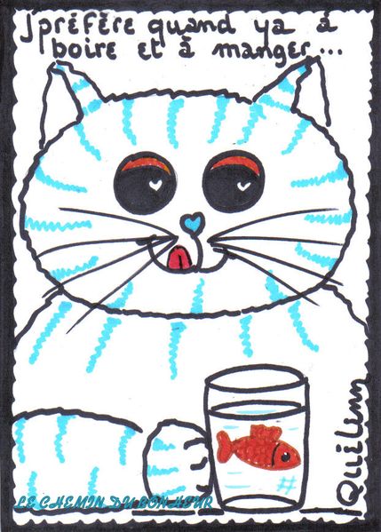 chat, dessin humour, DESSIN-DE-CHAT-AMUSANT.jpg