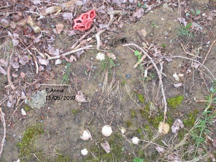 13052010-032b.jpg
