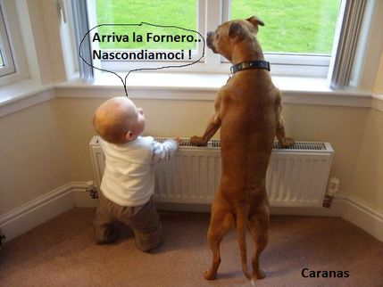 0 - Fornero