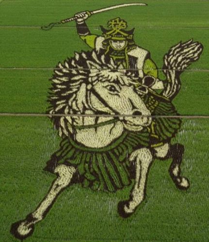 image009
