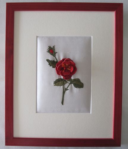 A21rose encadré