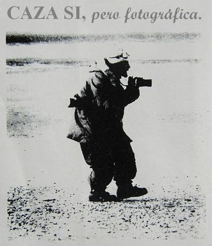 Photo 003