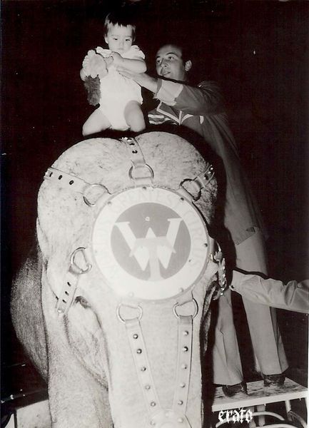 Frederique-sur-elephant-au-cirque.jpg