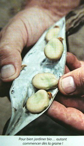 Le-guide-du-potager-bio-dans-le-nord-6.JPG