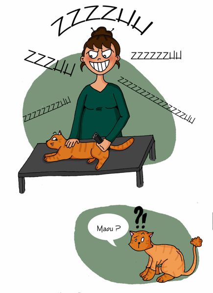 poils 2