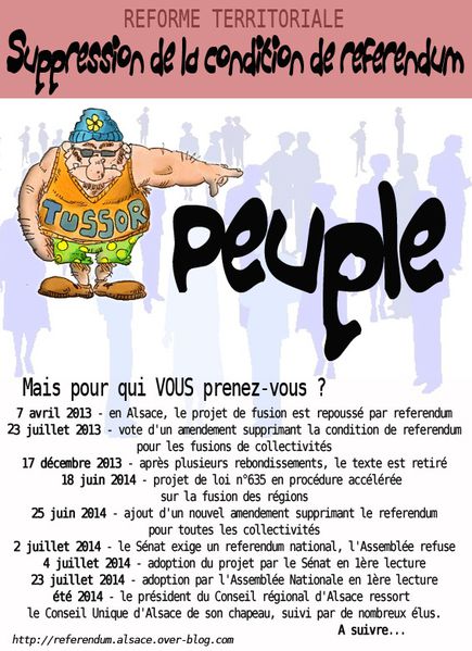 collectivite-territoriale-suppression-referendum-copie.jpg