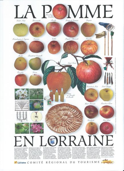 Affiche-pomme-CRTL-Jpeg.jpg