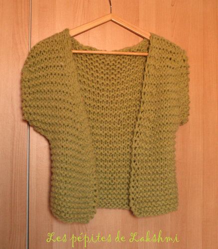 giletvert 1