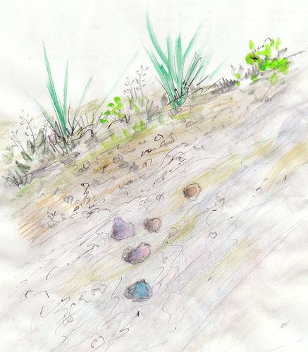cailloux-riviere.jpg