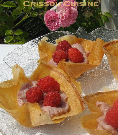 briquettes aux framboises