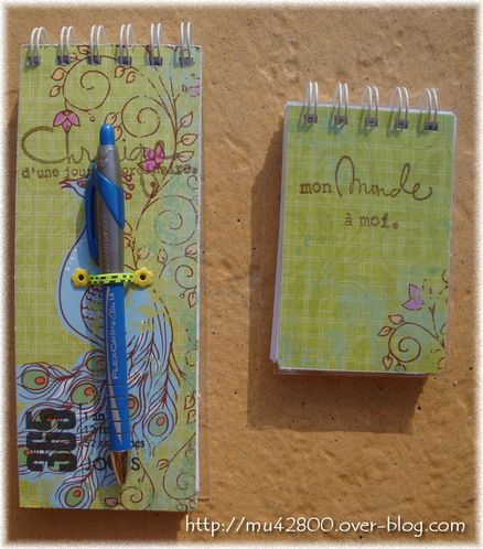 mini-carnet-stylo1a