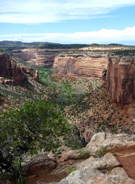 Jour 2 National Colorado Monument canyon p