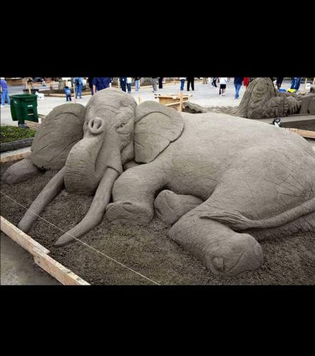 un-elephant_41344_w460.jpg
