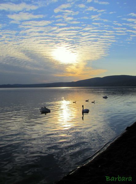 BRACCIANO 0196