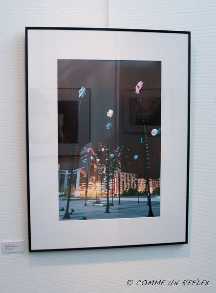 Mon-expo-2 9831