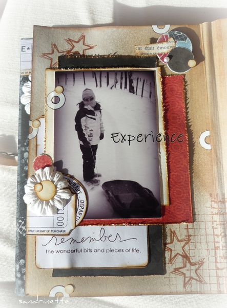 Mini HIVER 006