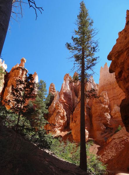 Bryce Canyon Navajo Loop 2