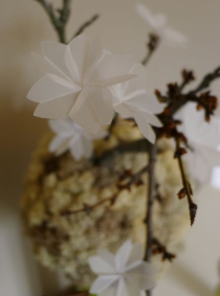 sakuradetail-copie-1