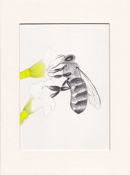cadre dessin abeille 1-