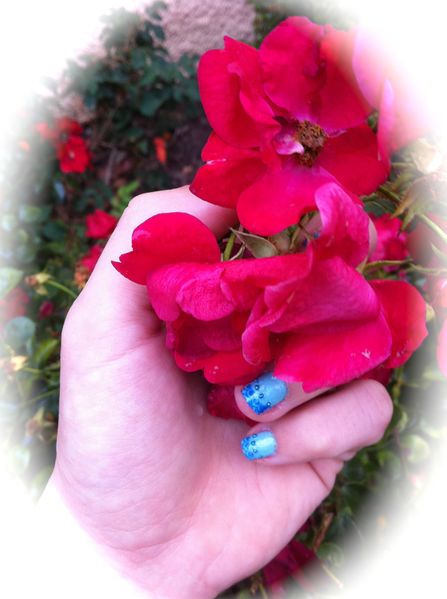 Nail Art Pictures 1535