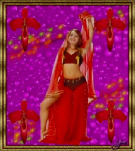 les-orchidees-de-la-beaute-et-de-l-amour12.jpg