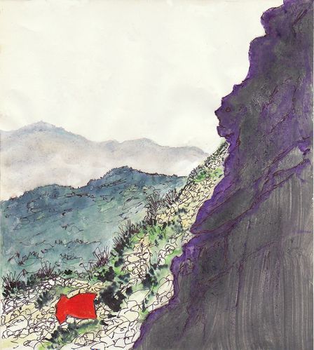 montagne-de-chine-fleurs-de-pluie.jpg