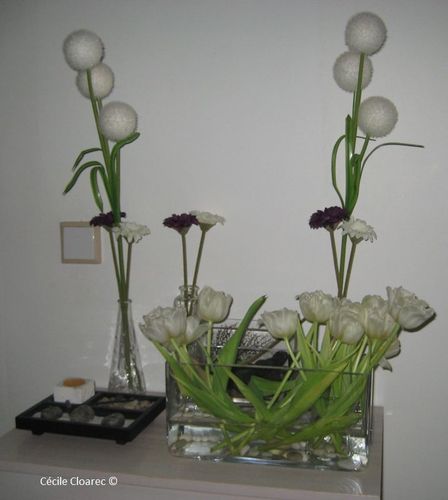 Lancement-E2012 3003