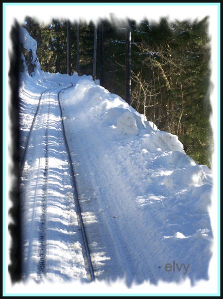 fin janvier 2012- neige et royan 041