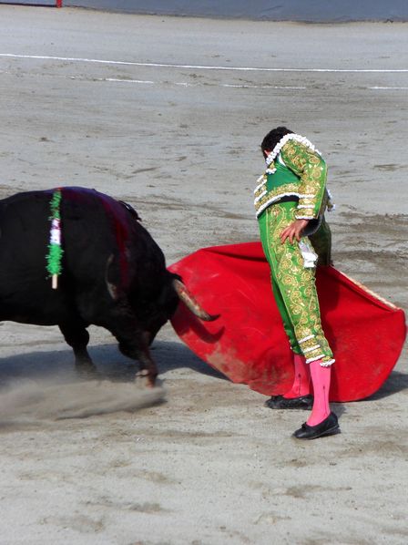 Palha