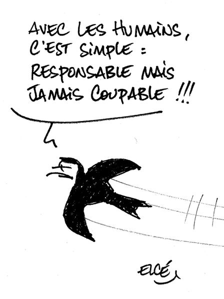 destruction-nids-hirondelle.jpg