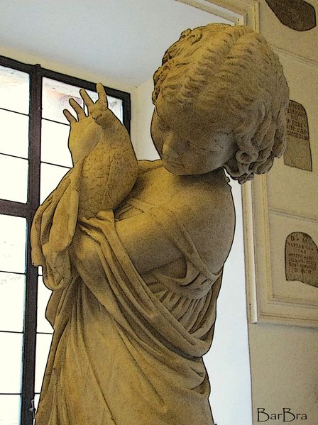 Musei 5641