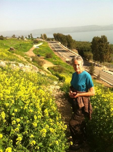 Galilee-vers-lac-de-Tiberiade.jpg