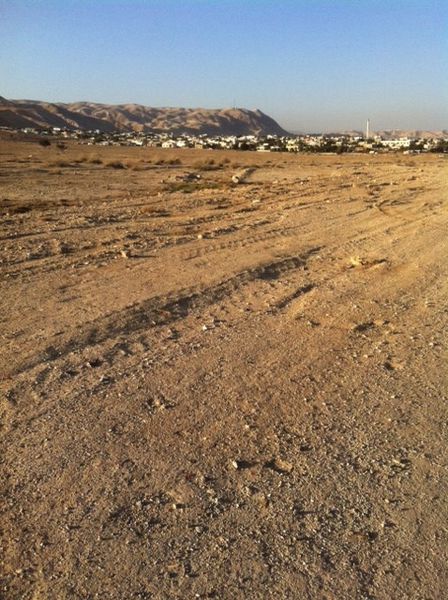 Montee-vers-Jerusalem-derriere-nous-Jerico-et-le-Mont-de.jpg