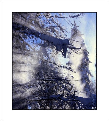 la-ruchere-alienard-page 2613 GF