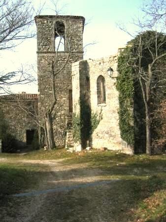 medium img 2383
