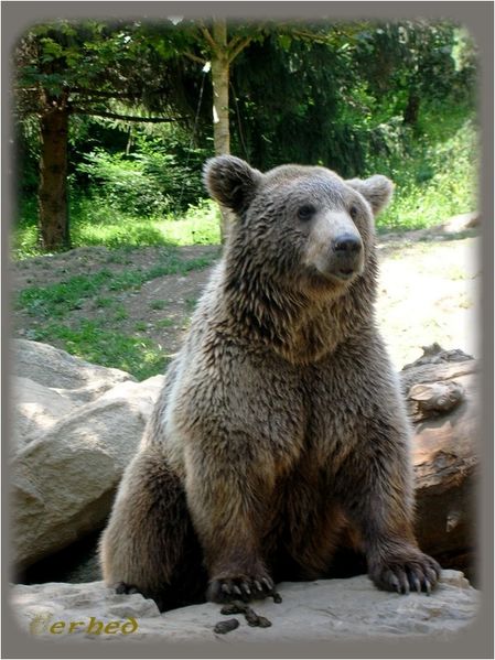 ours.jpg