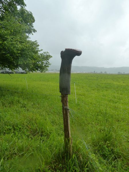 Botte.jpg
