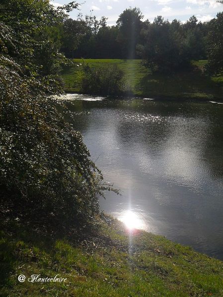 jeux-de-lumieres-4.jpg