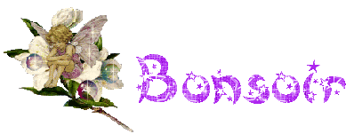bonsoir3
