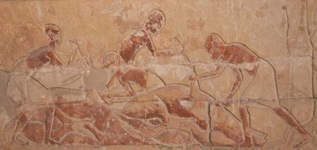 Tombe d'Horemheb saqqara 6