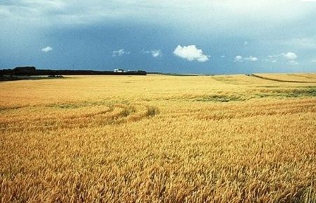 beauce.jpg