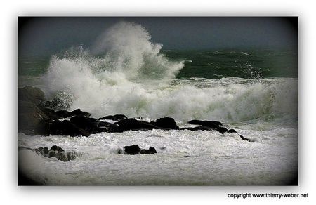 le-bal-des-sirenes (10)-copie-1
