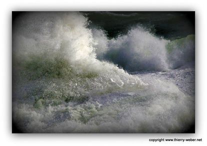 le-bal-des-sirenes (14)-copie-1